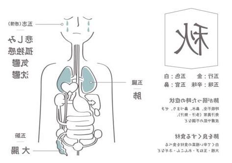 秋 五行